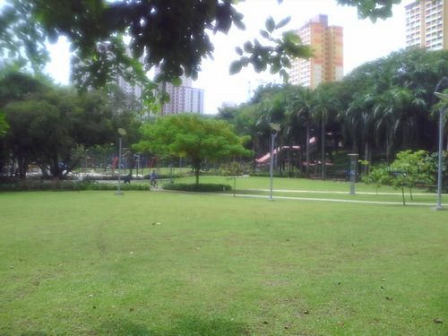 More fields, playground in background