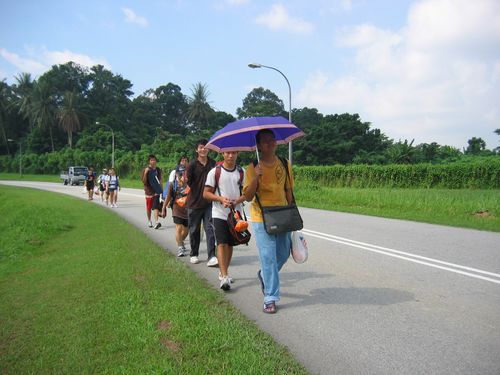 follow the purple umbrella!