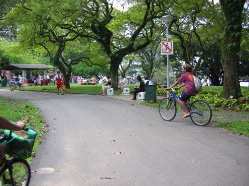 if you can see squint, clearly the signs says no cycling