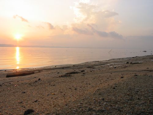 love how the sun lights up the sand in the morning