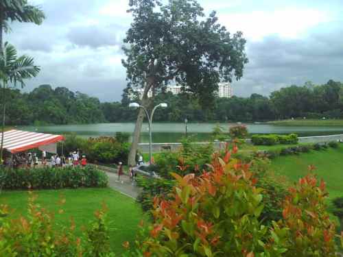 Moulmein Intra-Con Road Run at MacRitchie Park