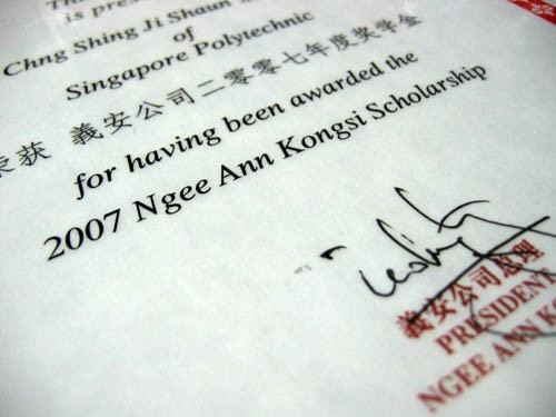 Ngee Ann Study Scholarship 2007