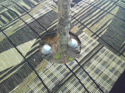 not to mention trees which grow right off the floor!