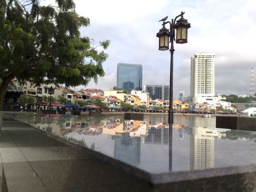 Reflections on the bench