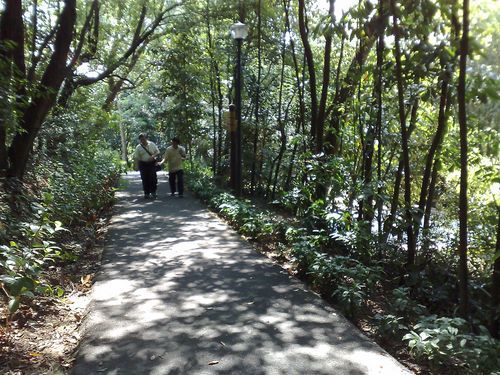 a baby forest with some fitness corners