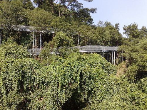 a view of the hill walk platforms from a distance