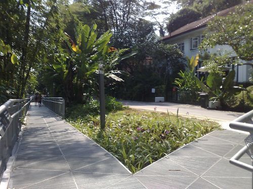 one part of the route even passes by the old Depot road colonial bungalows, 1up for privacy!