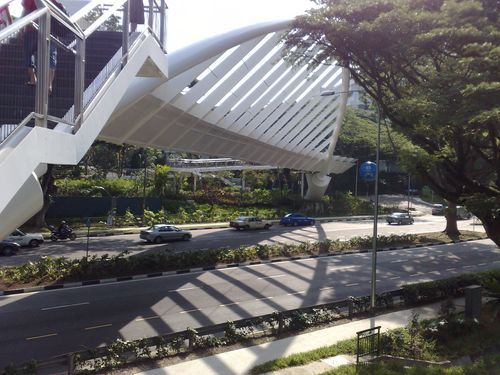 the forest walk ends at the interlinking Alexandra arch bridge