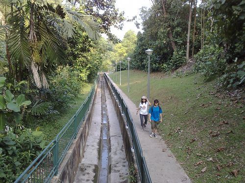 we exited Kent Ridge park through this pond route, before