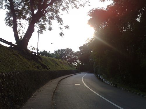 a walk on the upper Kent Ridges of Kent Ridge, get it?