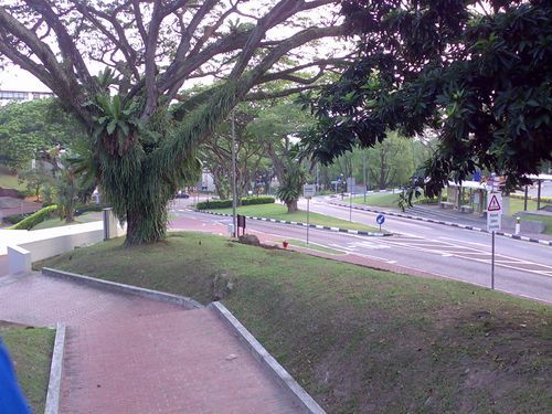 and poof suddenly here we are at NUS!