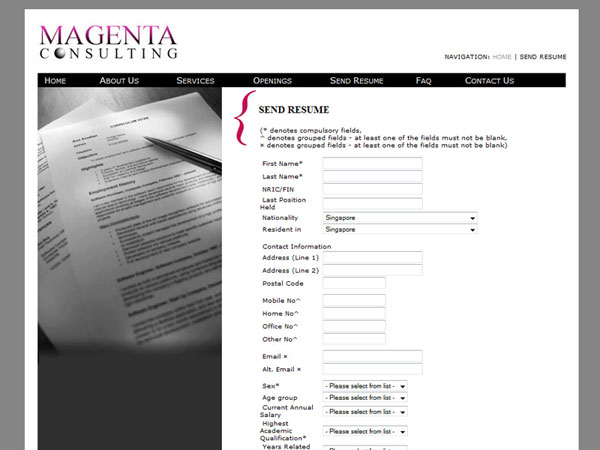 Magenta Consulting HR system