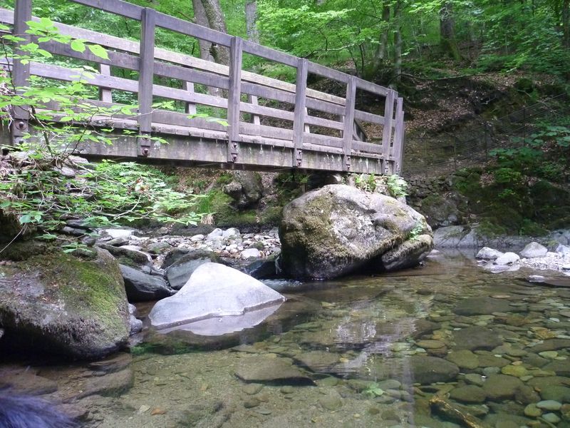 A nearby crossing bridge