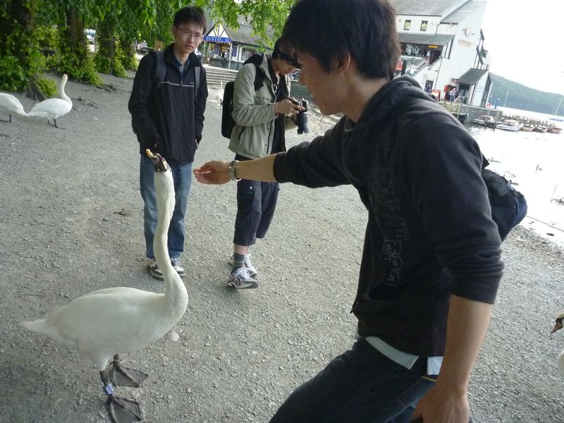 Feeding the natives. XD