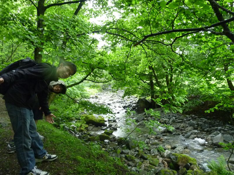 Moving up along the streams