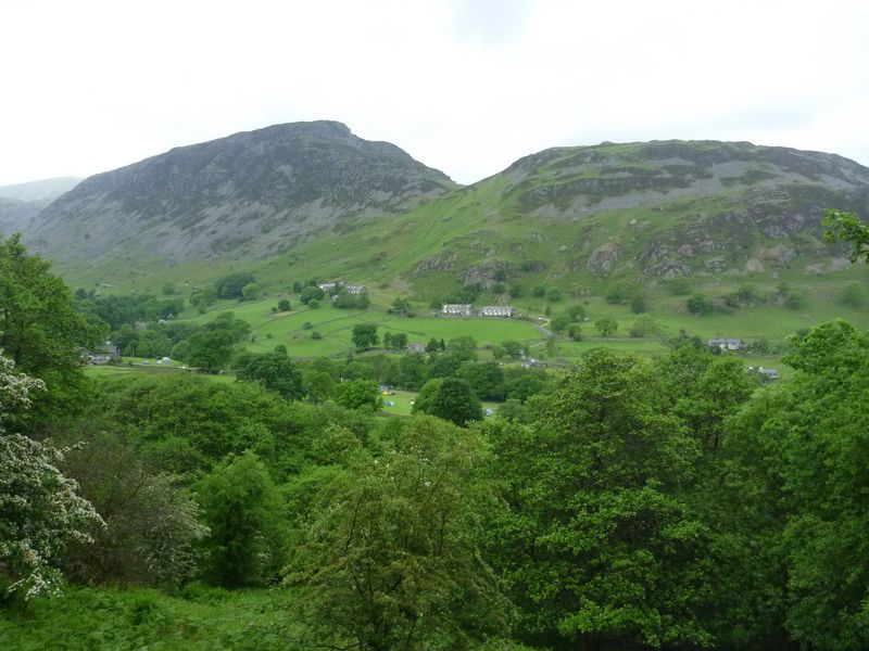 Overlooking the trees previously obstructing the view