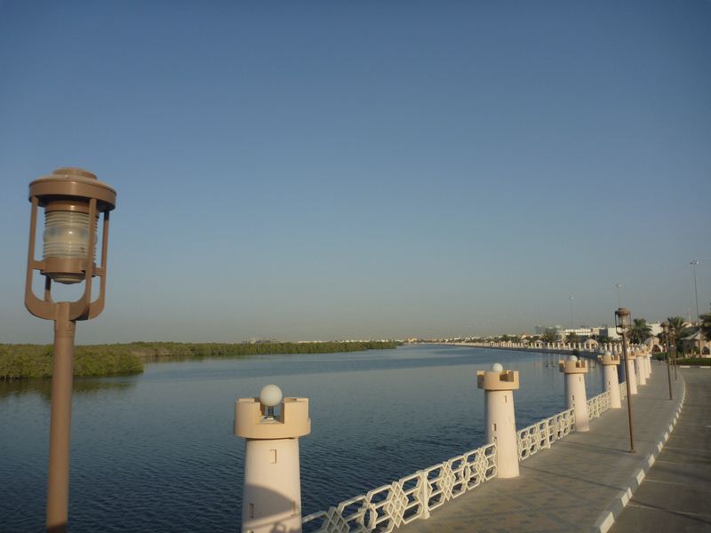 views of the Mangrove swamps