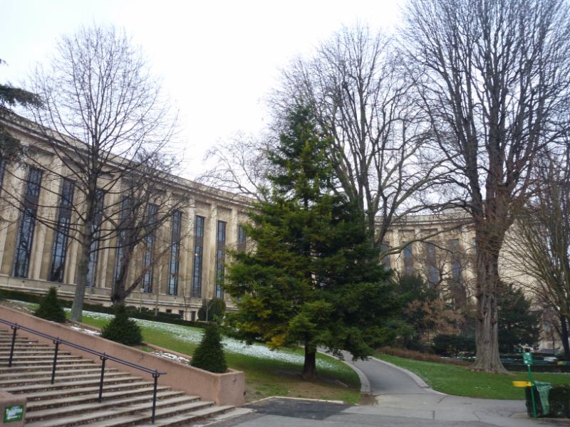 Gardens along the walk