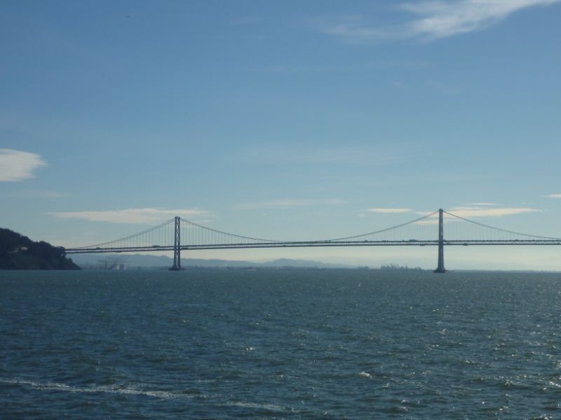 The Bay bridge in the wild