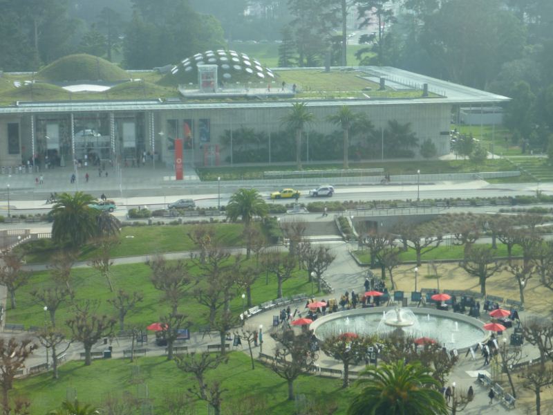 The California academy of sciences