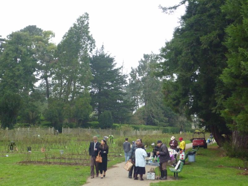 the rose gardens