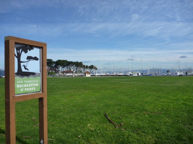 At the Crissy Fields across the Marina boulevard