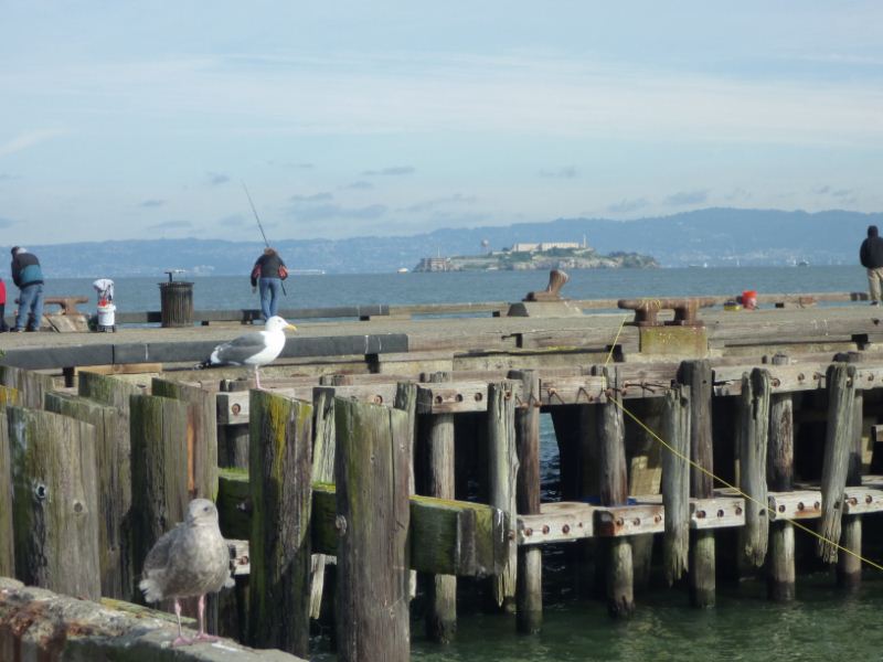 the wharf is a popular fishing spot