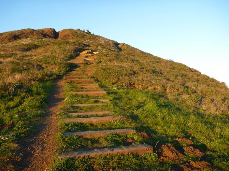 more steps, this time more grassy!