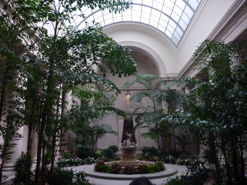 decked with skylight and plants