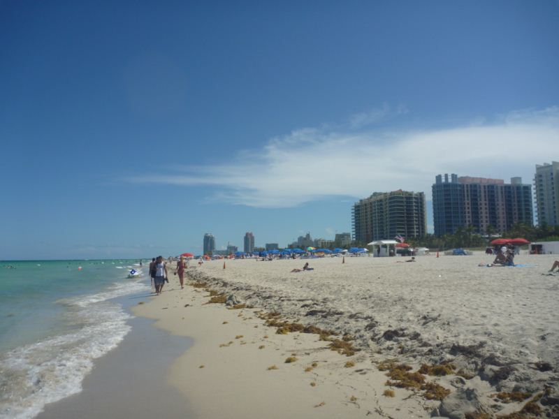 perfect beach day