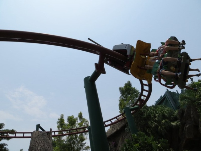 Pteranodon canopy soarin!