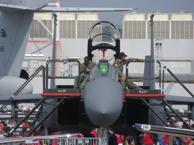 F15SG Nose