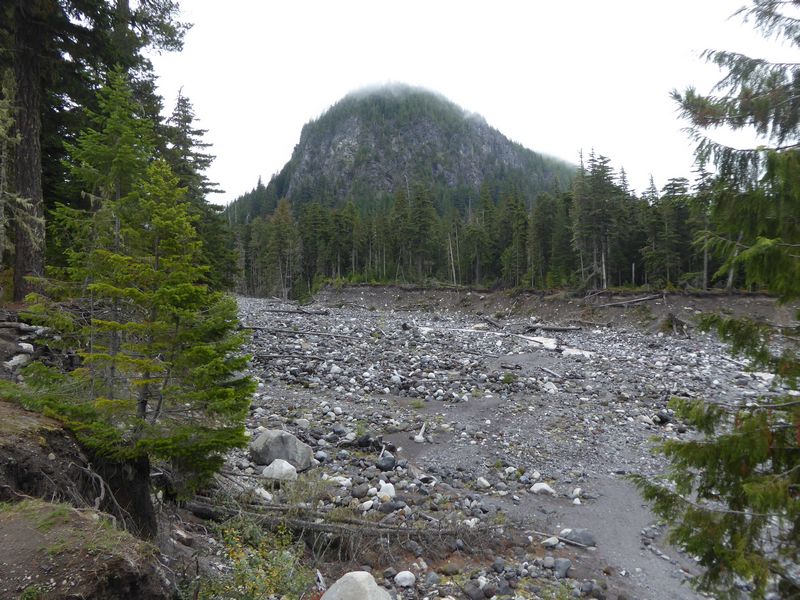 mount rainer washington 03