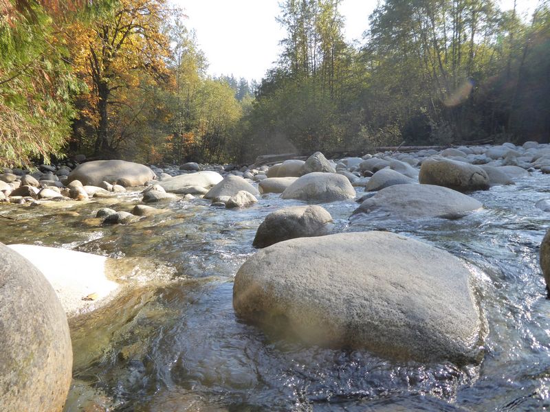 lynn valley park 36